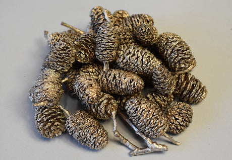 Image for Fructe arini uriase sampanie