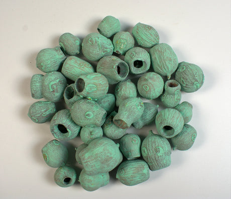 Image for Eucalypt/bell gum vopsit aqua