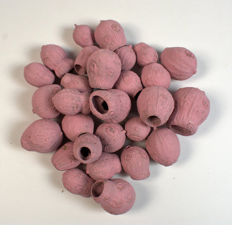Image for Eukalypt/bell gum vopsit nalba