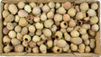 Image for Eukalypt/Bell gum natur