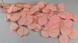 Image for Creanga eucalypt cu frunze rotunde prep.inalbit piersica