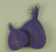 Image for Frunze voal S/100 mov