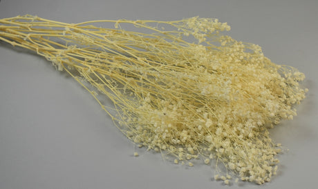 Image for Floare de voal preparat inalbit