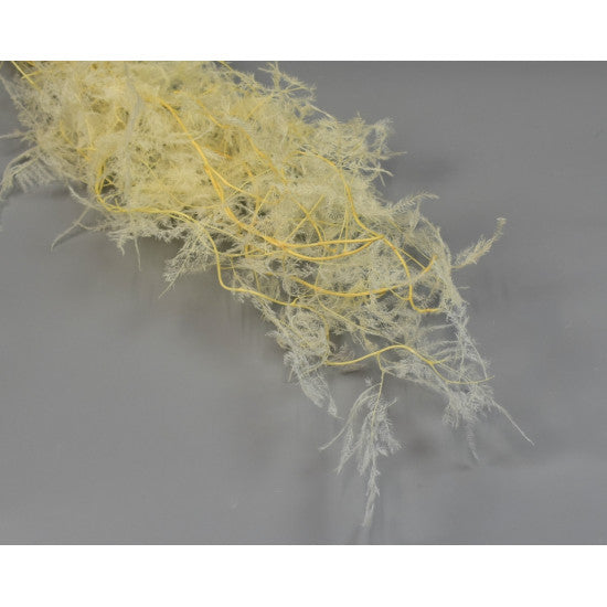 Asparagus plumosus preparat inalbit