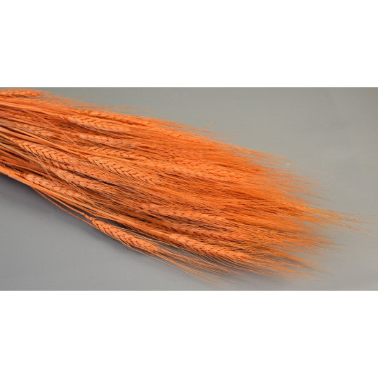 Grau cu spic lung 150g inalbit piersica
