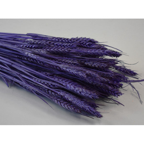 Grau fara arifte 150g inalbit mov