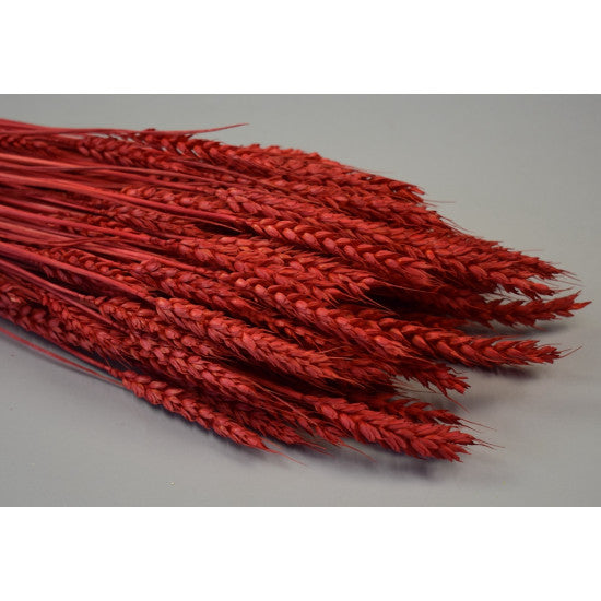 Grau fara arifte 150g inalbit rosu