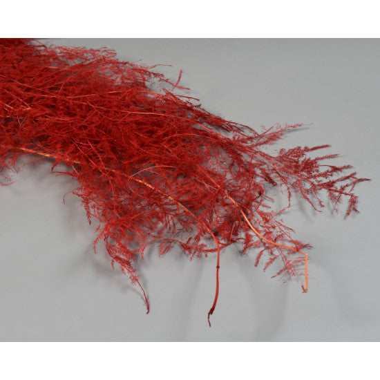 Asparagus plumosus preparat inalbit rosu