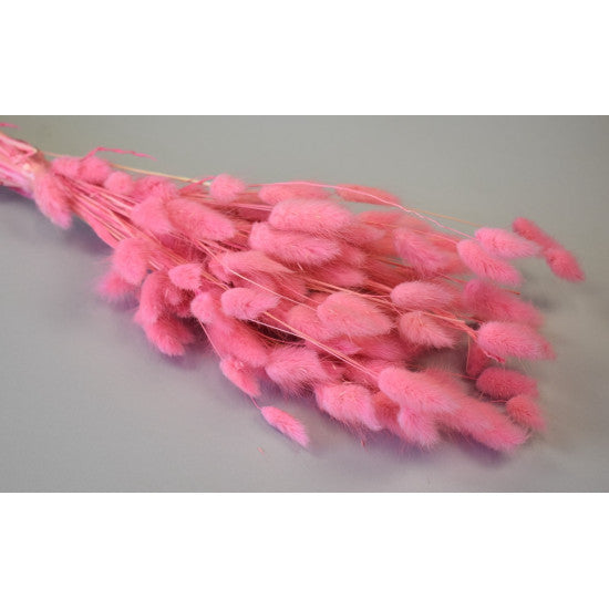 Lagurus 50gr inalbit roz