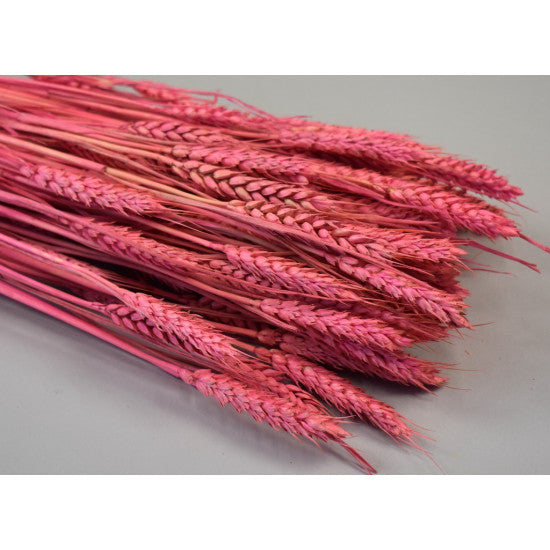 Grau fara arifte 150g inalbit roz