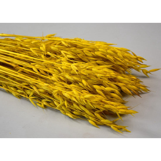 Ovaz 150gr inalbit galben