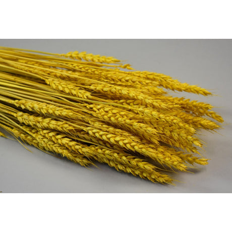 Grau fara arifte 150g inalbit galben