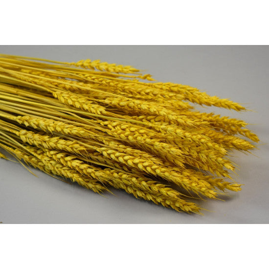 Grau fara arifte 150g inalbit galben