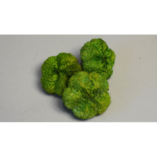 Usturoi inalbit mar verde