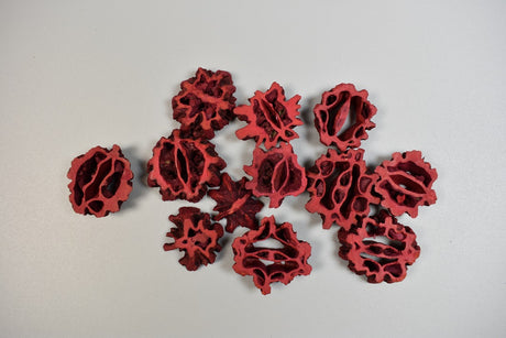 Image for Felii de nuca neagra rosu