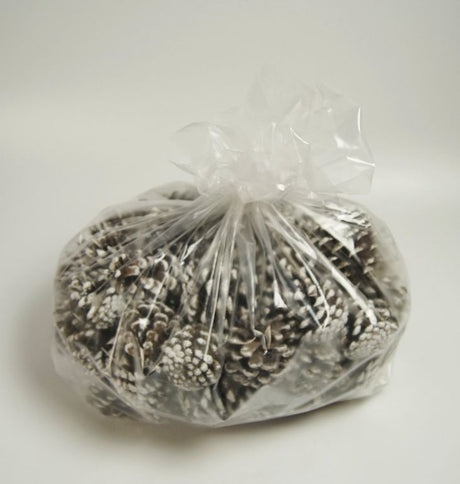 Image for Conuri de pin inzapezit 1kg