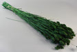 Image for Tallaris 100g verde inchis