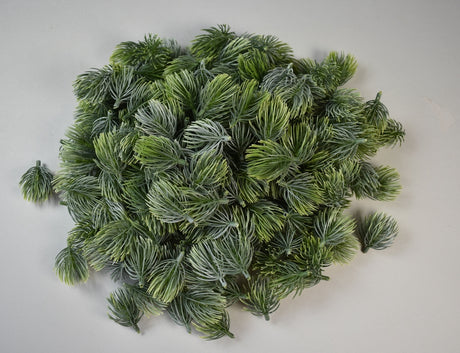 Image for Mugure de pin cu chiciura S/200