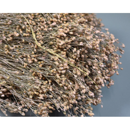 Broom Bloom 100gr. vopsit roz