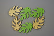 Image for Fig.frunze filodendron 4cm s/100 nat/verde