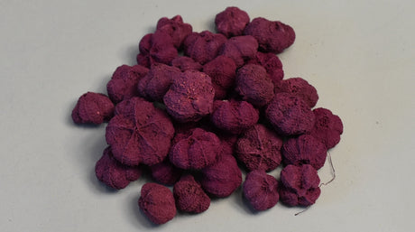 Image for Usturoi vopsit mure