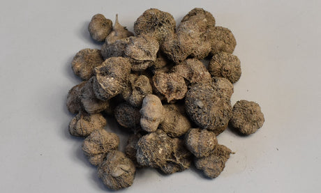 Image for Usturoi vopsit gri