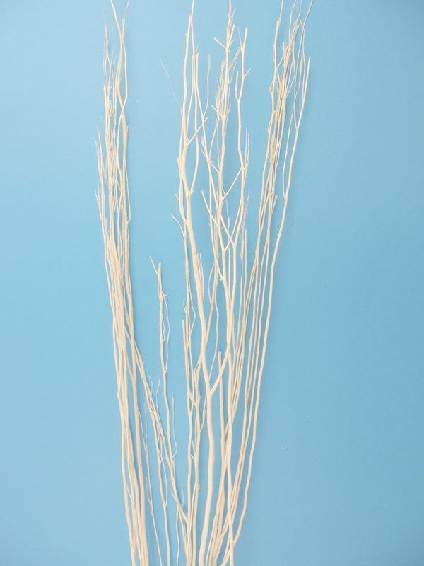 Image for Creanga salcie inalbit