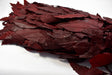 Image for Ramura de castan prep.rosu