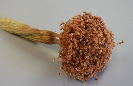 Image for Glixia Marcela 75g piersica