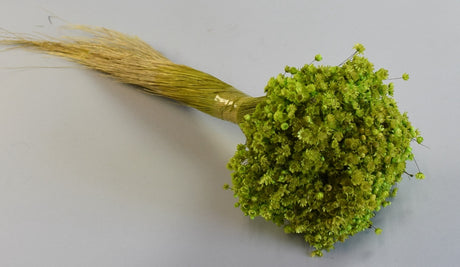 Image for Glixia marcela 75g verde deschis