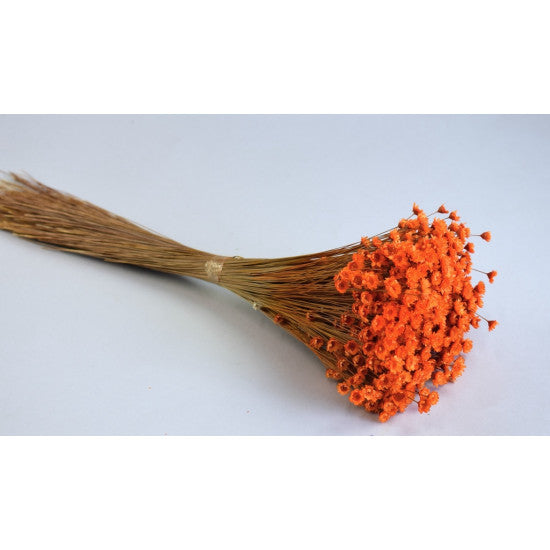 Glixia 50g portocaliu