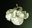 Image for Ciuperci mixte argintiu cu glitter