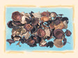 Image for Ciuperci mixte natur
