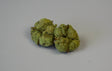Image for Flori de bumbac verde deschis