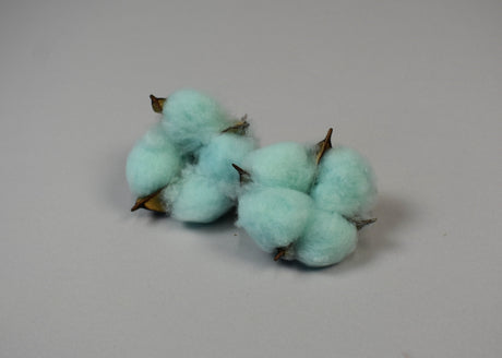 Image for Flori de bumbac albastru deschis
