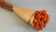 Image for Limonium 80gr portocaliu