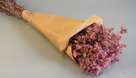 Image for Limonium 80gr roz deschis