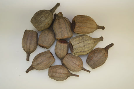Image for Fuse natur