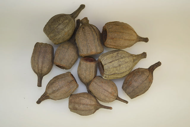 Image for Fuse natur