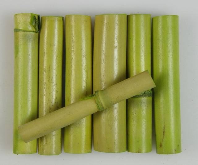 Cozi de floarea soarelui verde deschis
