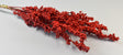 Image for Creanga Ilex 60cm rosu
