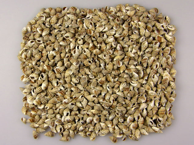 imagine produs Scoci kaka 1kg