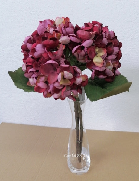imagine produs Fir hortensia x3 33cm