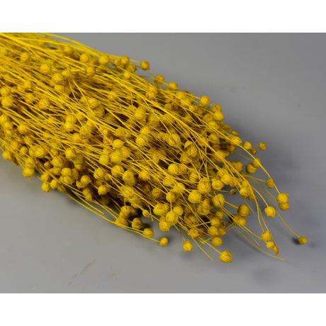 In 100g inalbit galben