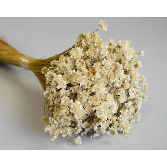 Glixia 50g natur