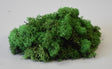 Image for Muschi islanda calitate II verde mediu