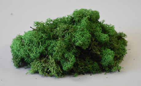 Image for Muschi islanda calitate II verde mediu