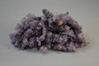 Image for Muschi Islanda 0.25kg mov