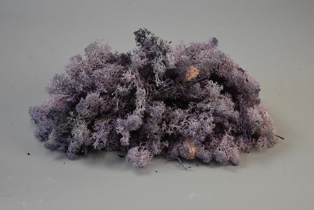 Image for Muschi Islanda 0.25kg mov