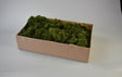 Image for Muschi Islanda verde muschi